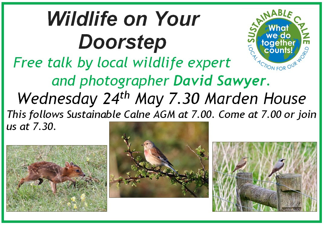 Flyer for AGM on Wednesday 24th May 2023 at 7pm at Marden House in Calne.